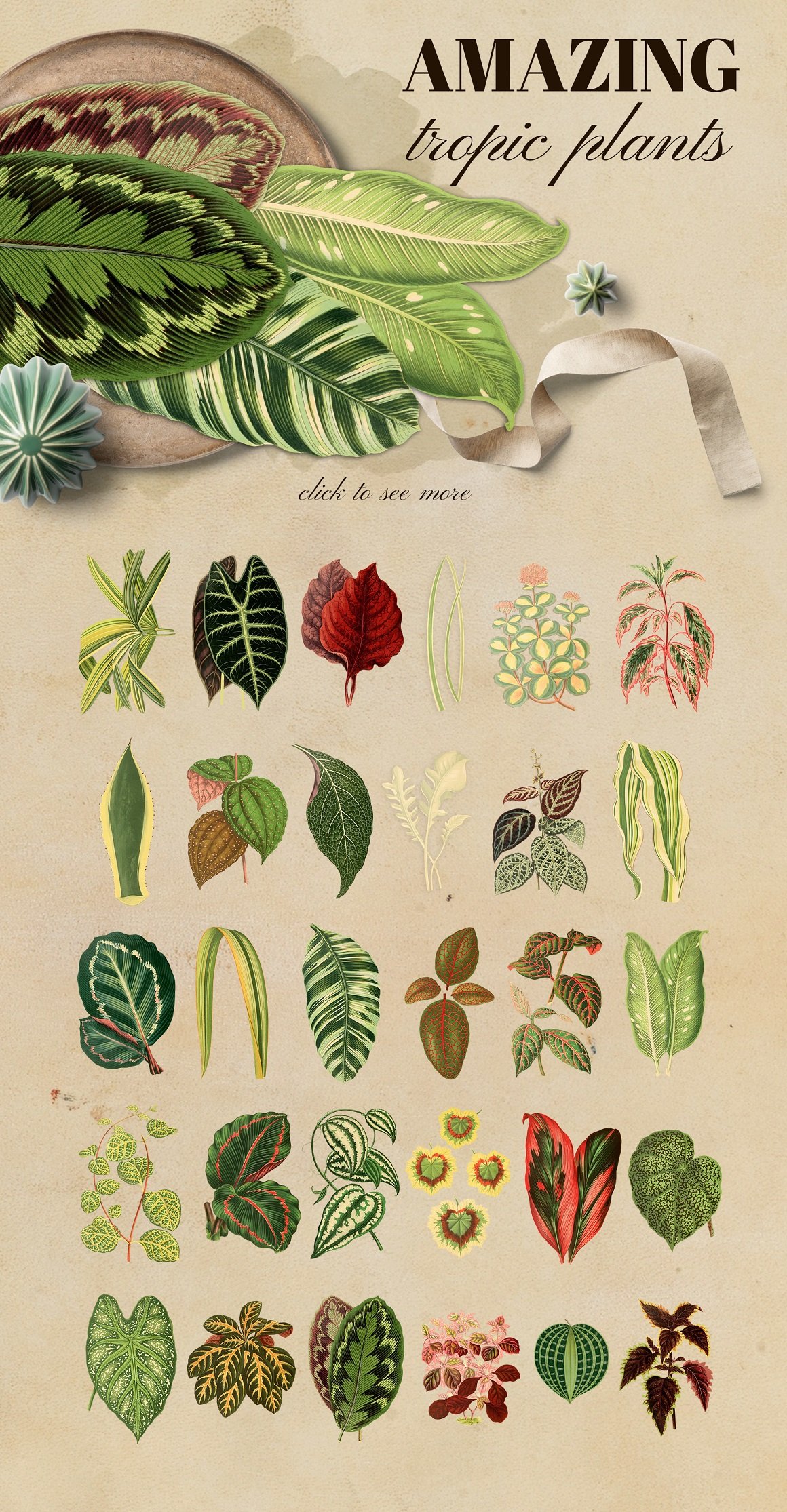 Vintage Exotic Herbarium Design Set