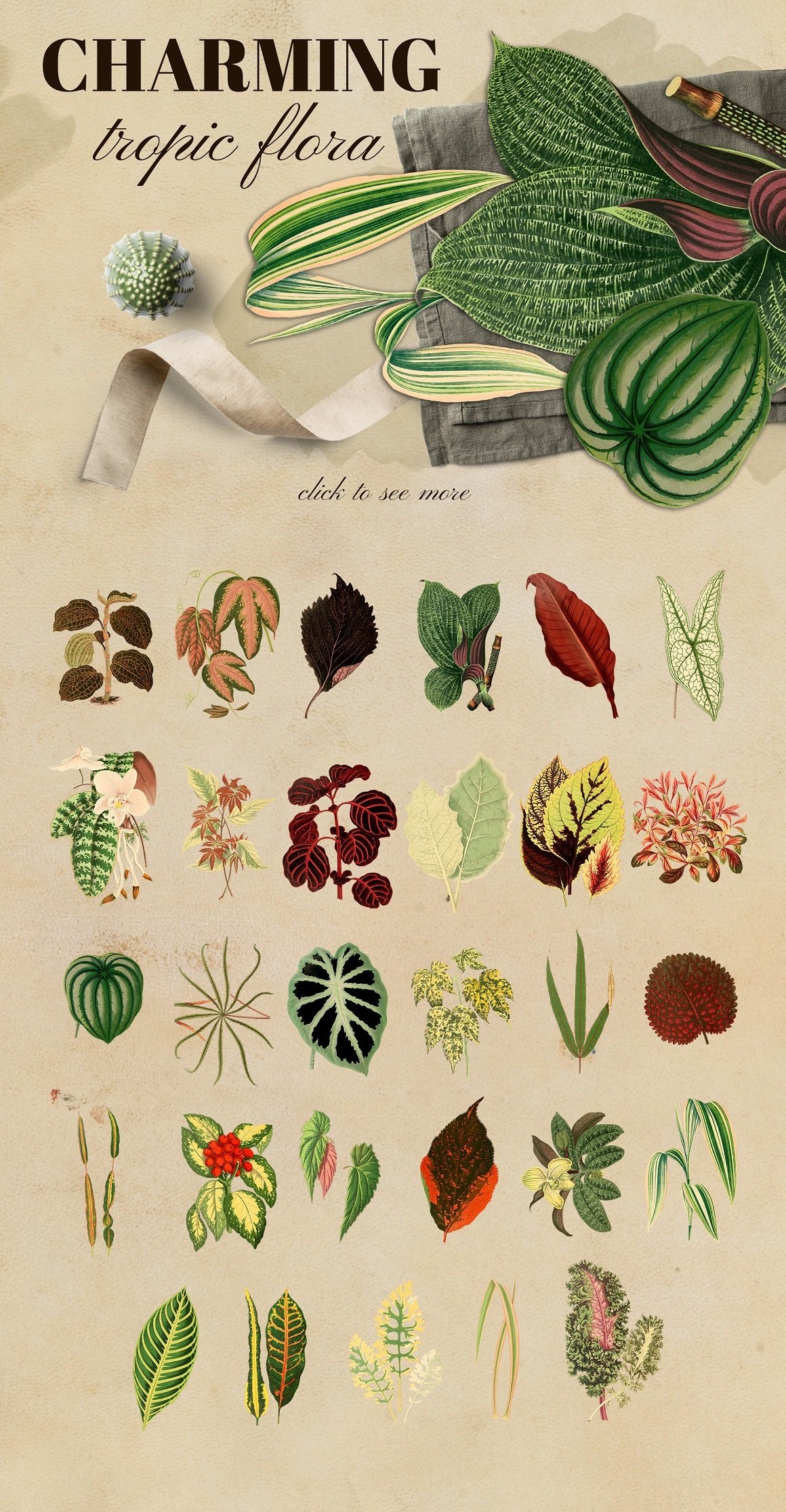 Vintage Exotic Herbarium Design Set