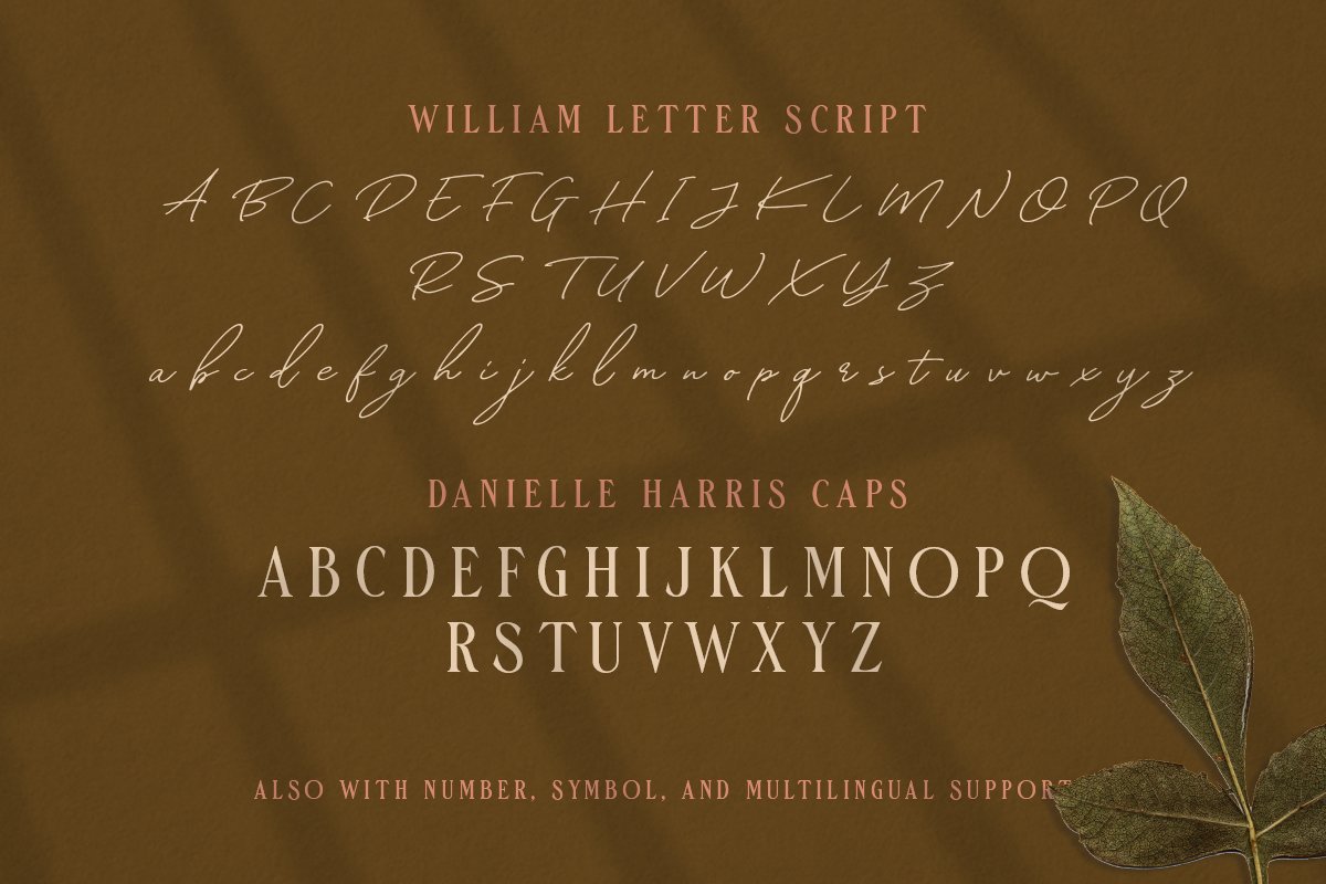 William Letter Signature Script