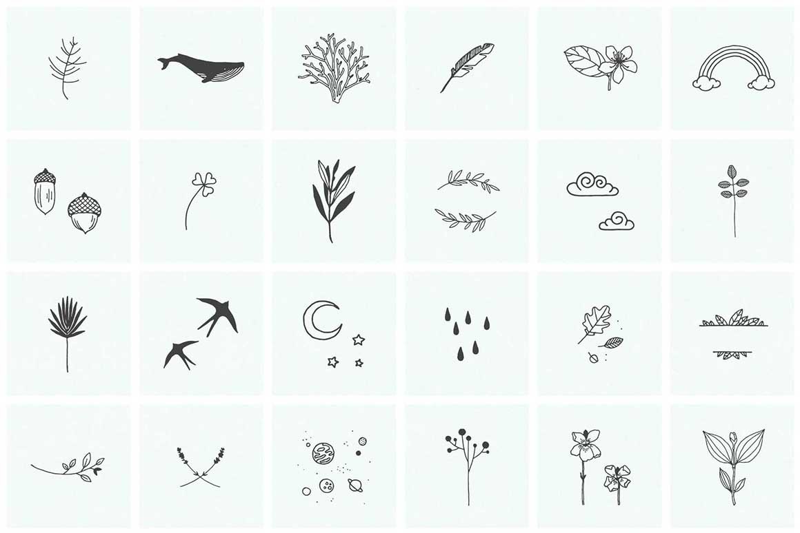 150 Hand Drawn Elements Nature