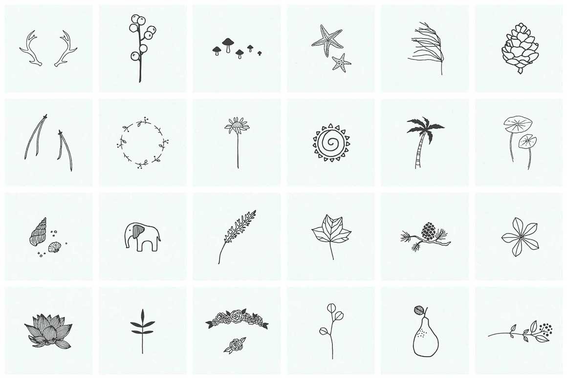 150 Hand Drawn Elements Nature