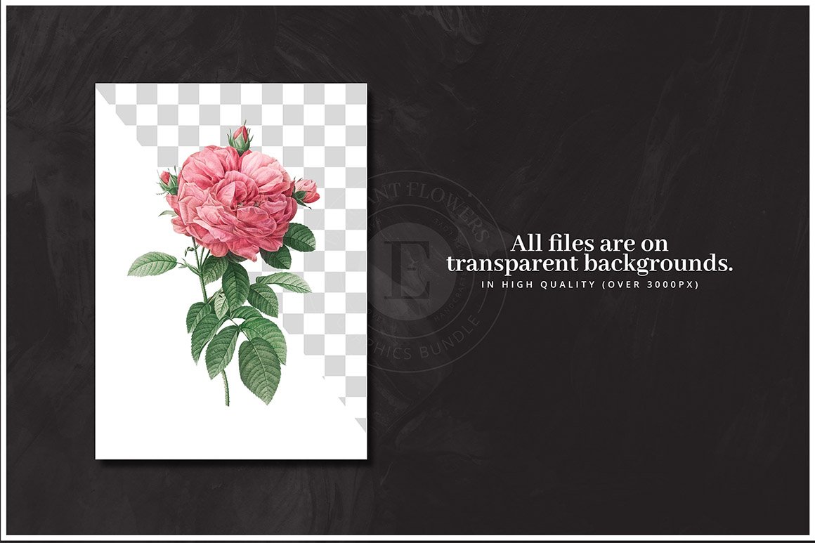 50 Elegant Flowers Bundle - Patterns & Boquets