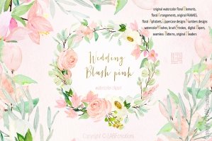 Blush Pink Bougainvillea Flowers