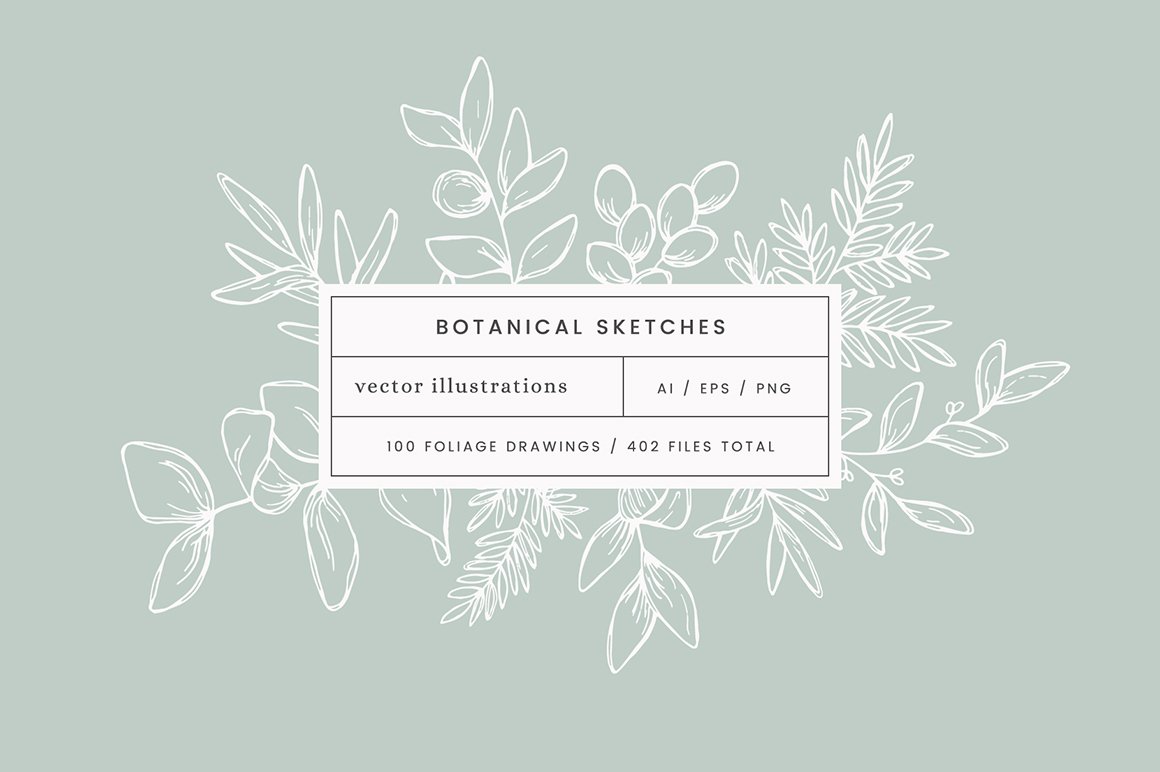 Botanical Sketches Vector Illustrations