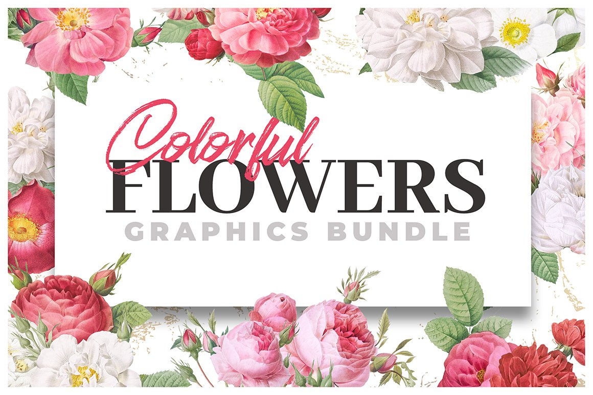 Colorful Flowers - Graphics Bundle