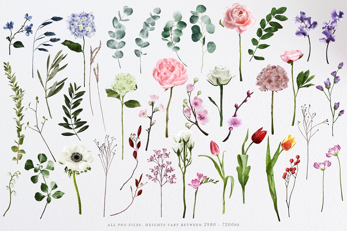 English Garden Watercolor Florals