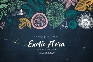 Exotic Plants Vector Collection