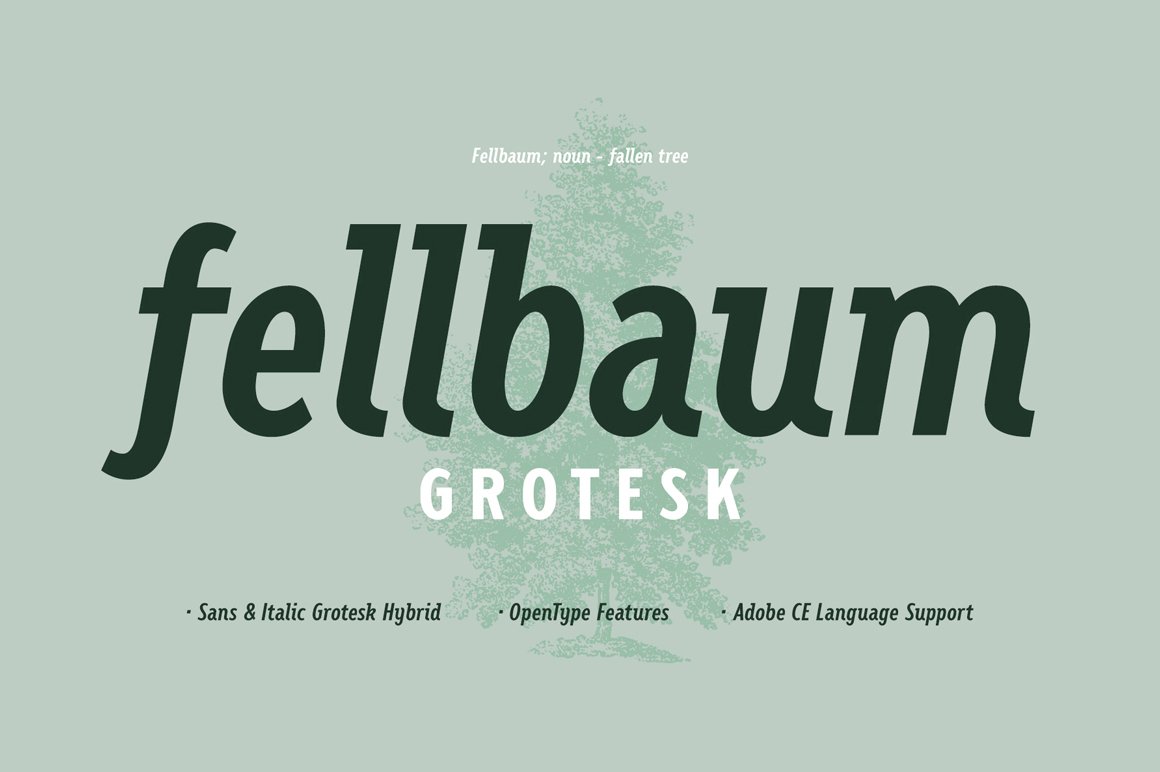 Fellbaum Grotesk Font