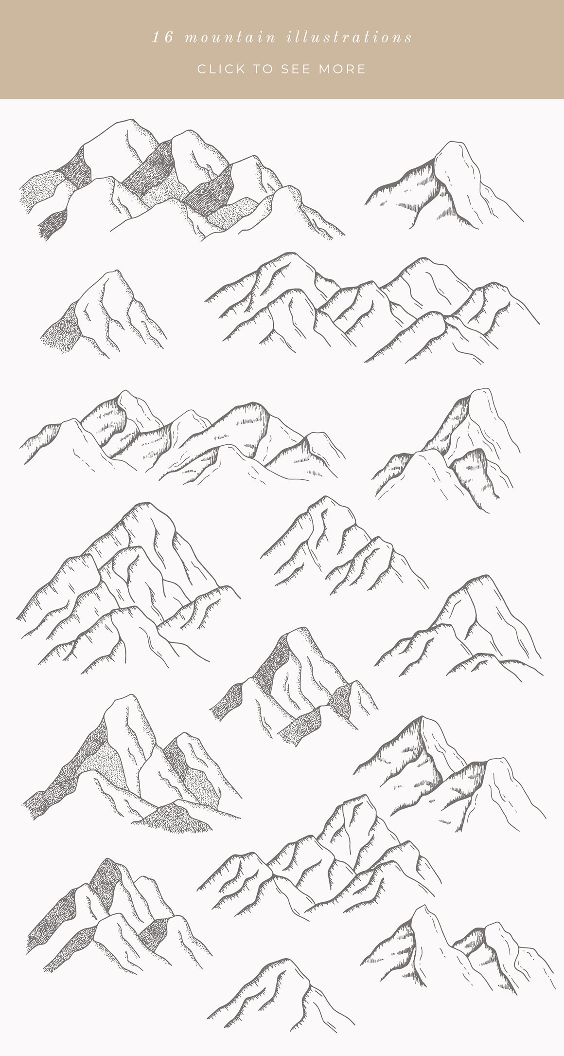 Forest Mountain Vector Illustrations