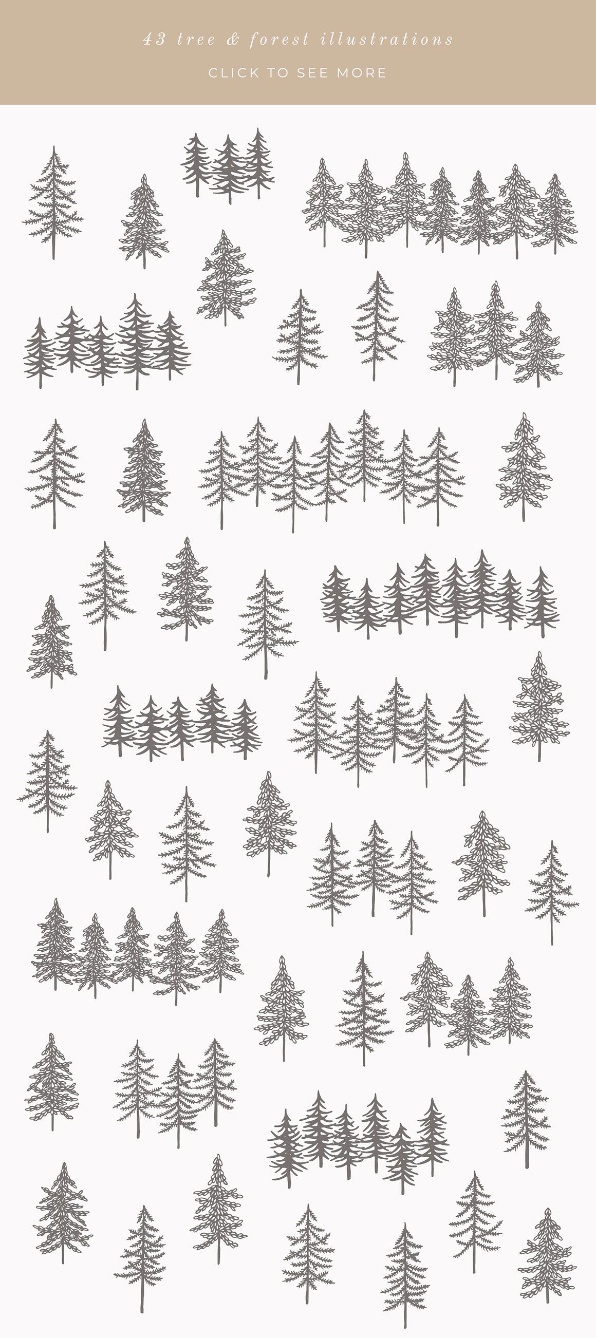 Forest Mountain Vector Illustrations