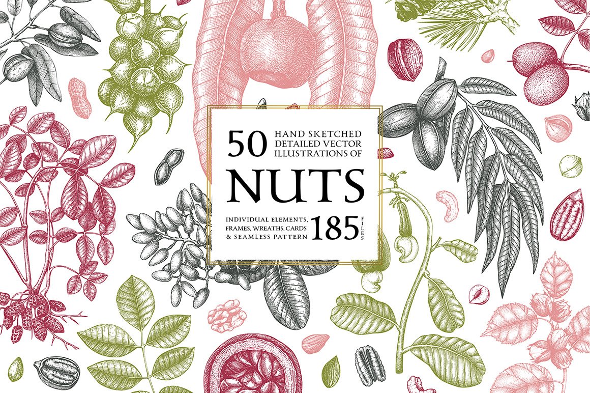 Hand Drawn Nuts - Vector Collection
