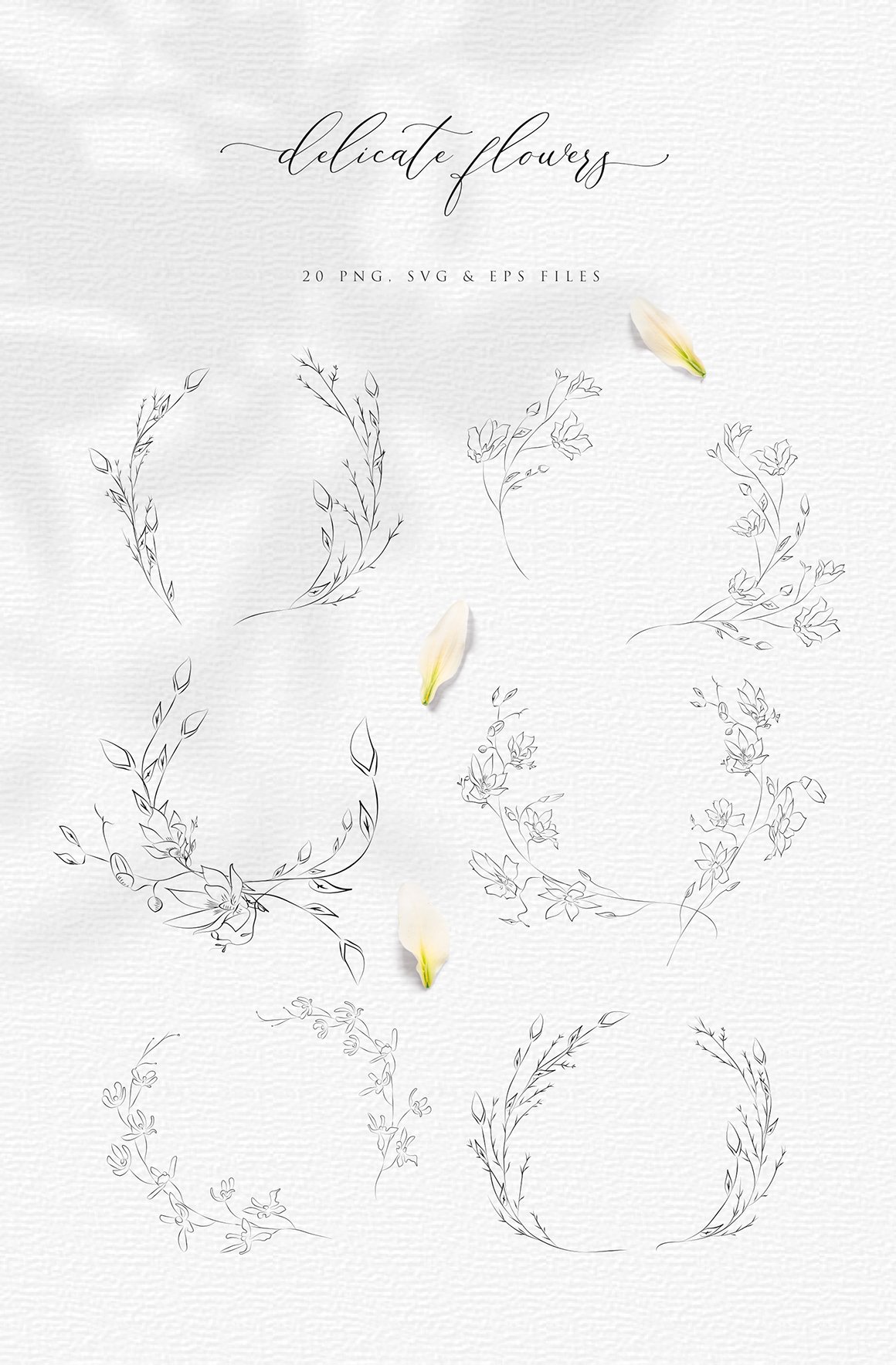 Line Drawing Botanical Wreaths, Plants and Florals
