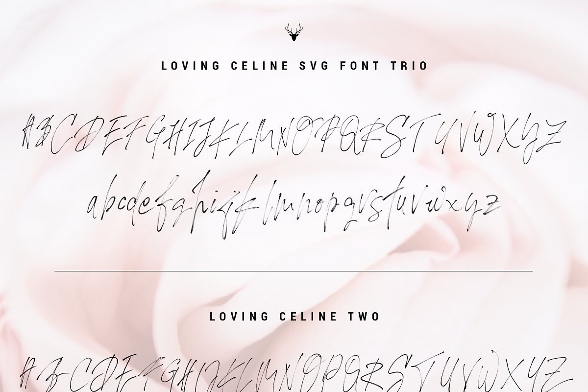 Loving Celine Signature Font Trio