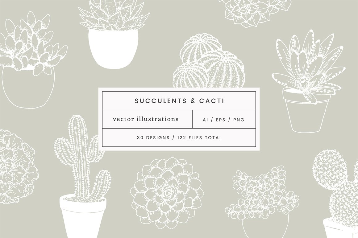 Succulent & Cacti Vector Illustrations