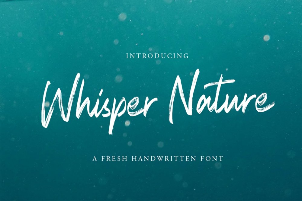 whisper nature brush script font 
