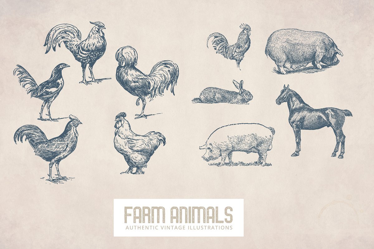 55 Vintage Farm Animals