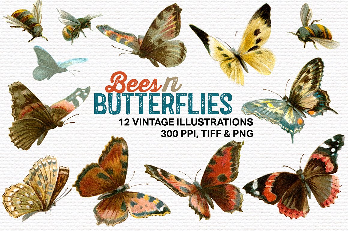 Bees N Butterflies Vintage Illustrations