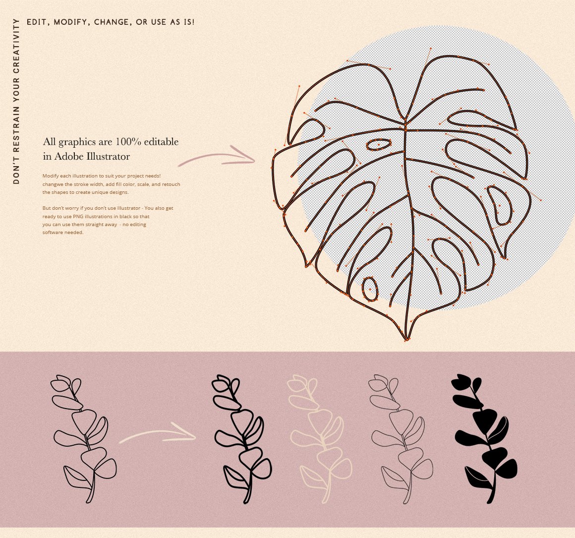 Botanical Elements for Logo Design