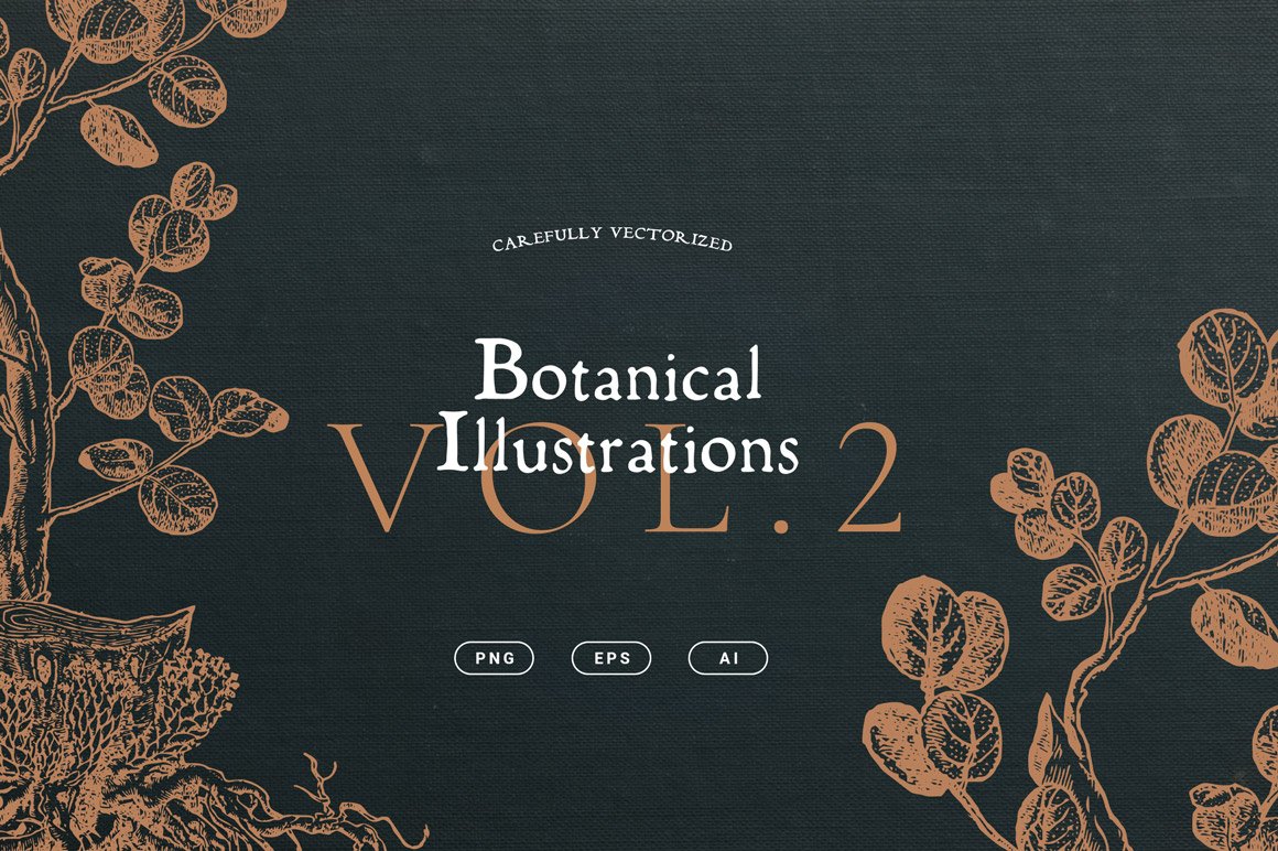 Botanical Illustrations Vol.2