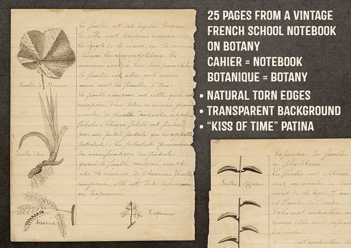 Cahier de Botanique