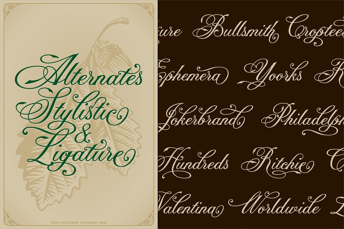 Champtone Fonts Collection