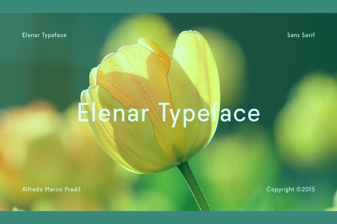 Elenar Typeface
