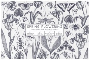 Hand Drawn Spring Flowers Set