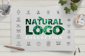Minimal Leaves Logo Collection