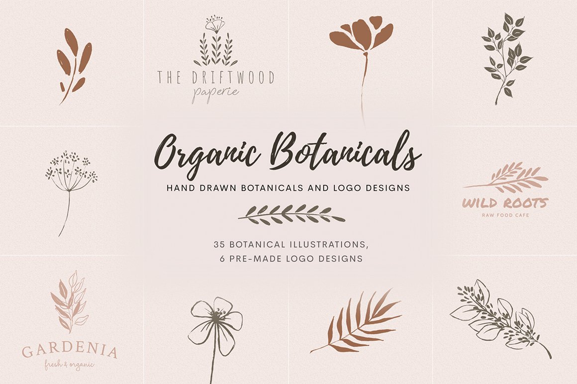 Organic Botanicals & Logo Designs