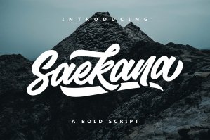 Saekana Script Fonts