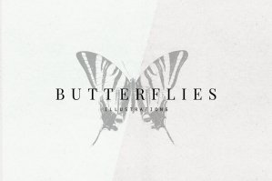 Vintage Butterflies Illustrations