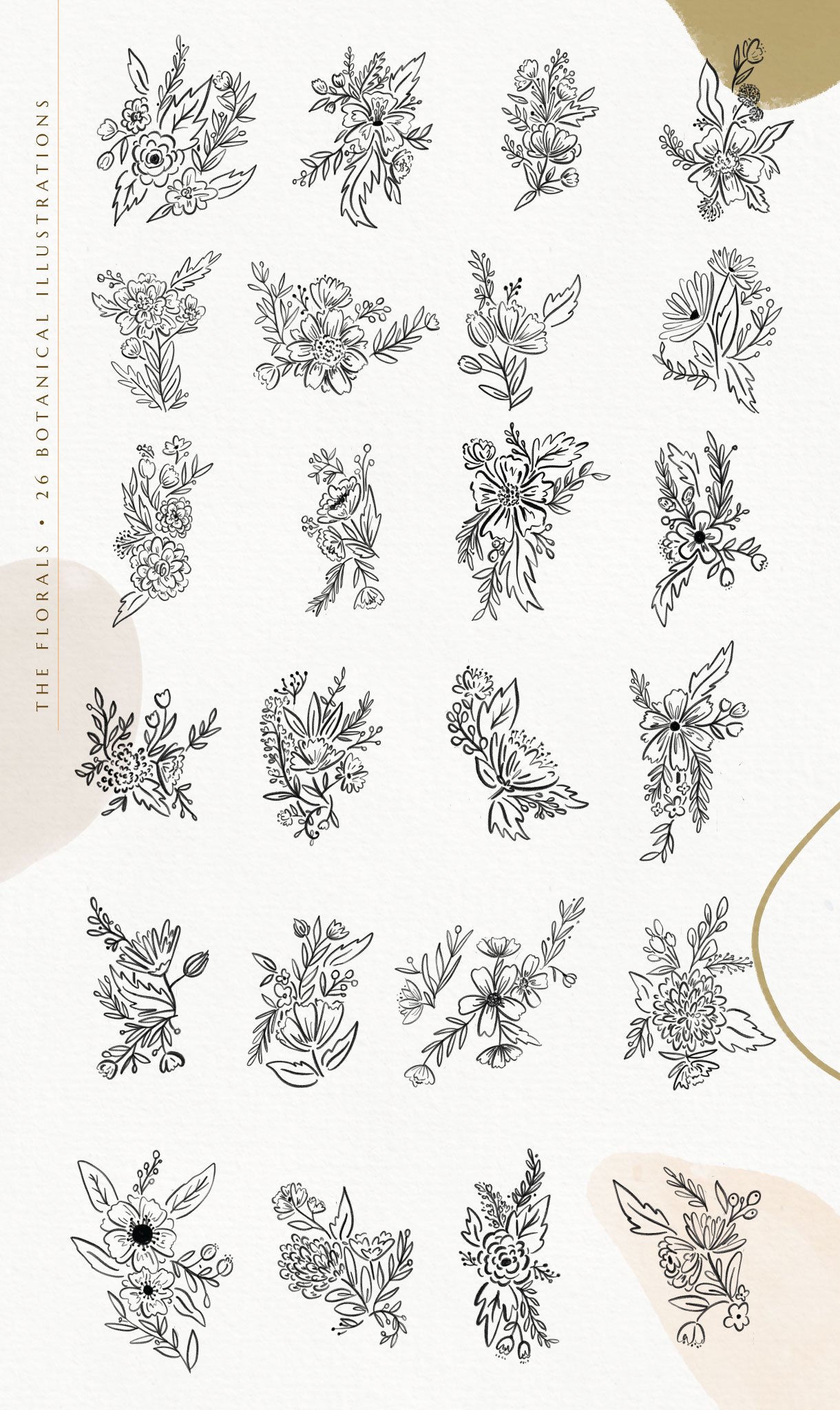 Floralia Botanic Alphabet Font & Illustrations
