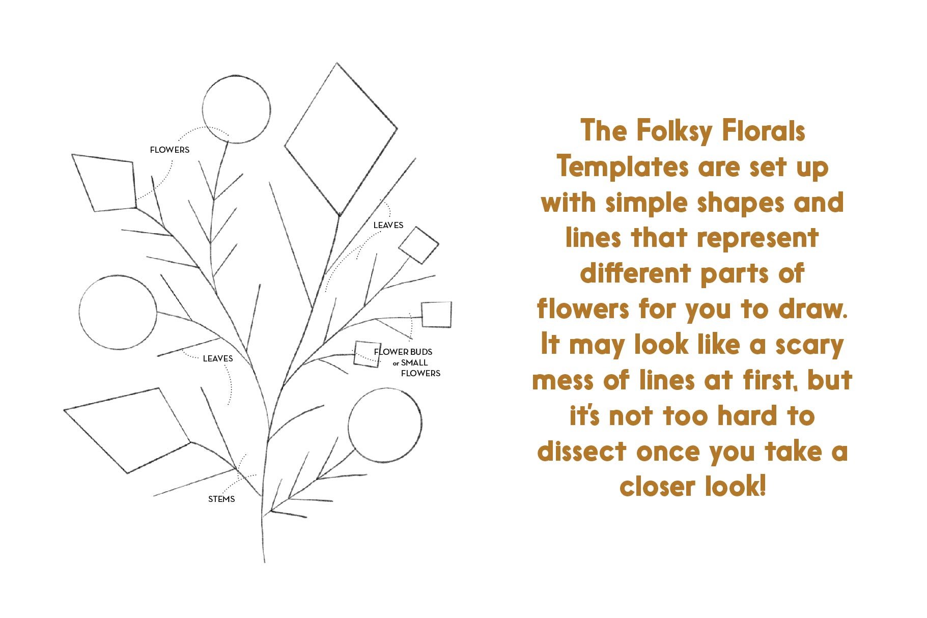 Folksy Florals Drawing Templates