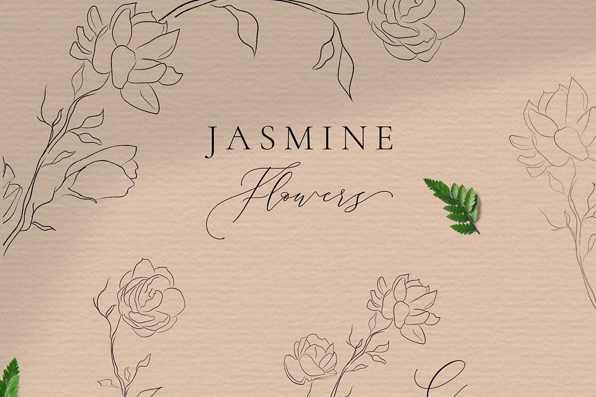 Amazon.com: Vintage Botanical Floral Flower Wall Art Print: Jasmine  (Redouté) - Ready to Frame 5