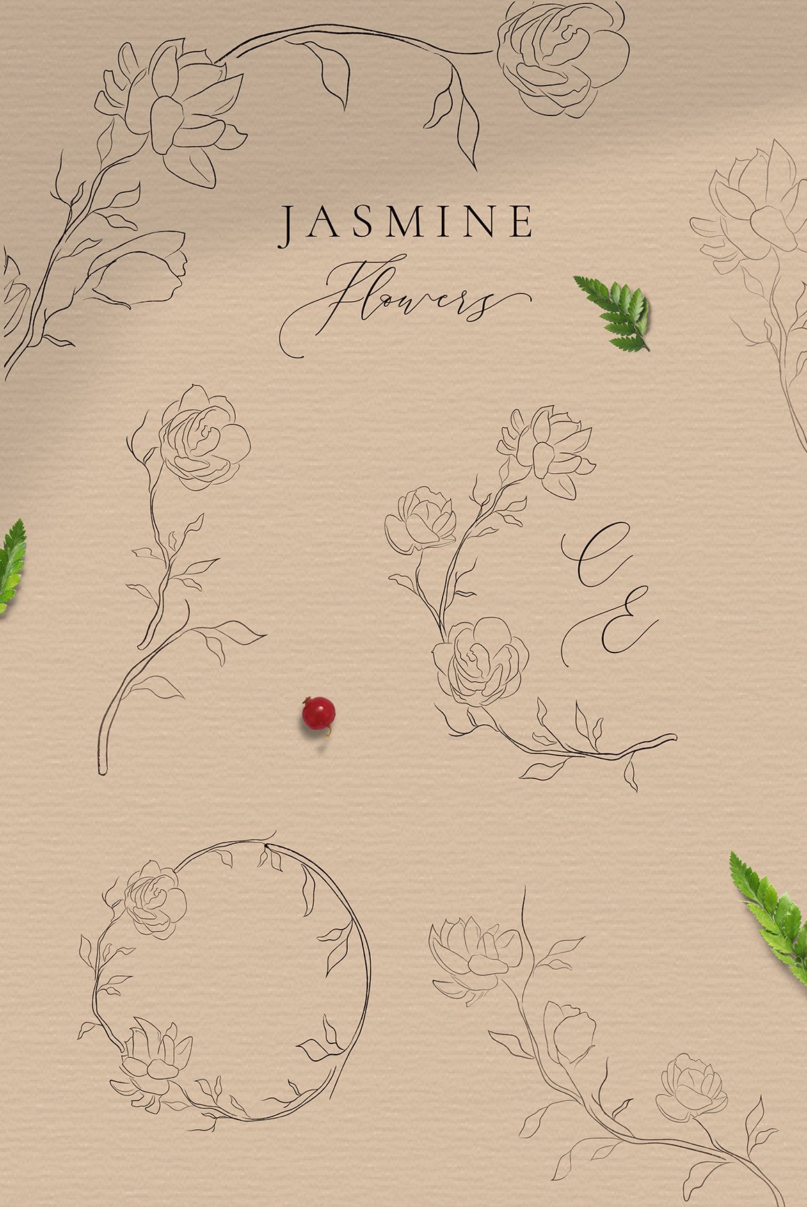 Jasmine Flowers Line Art Decorative Elements