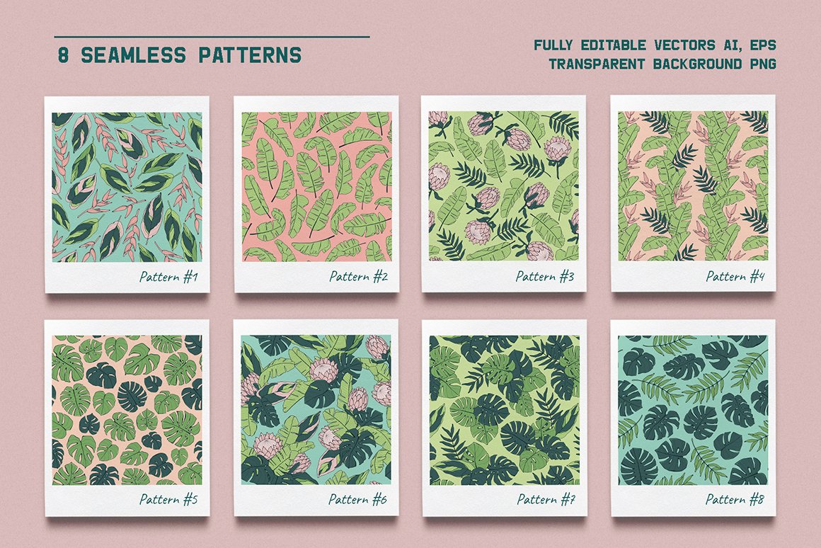 Jungle Story: Tropical Patterns & Elements