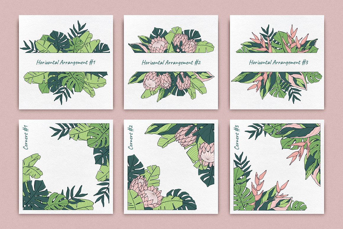 Jungle Story: Tropical Patterns & Elements
