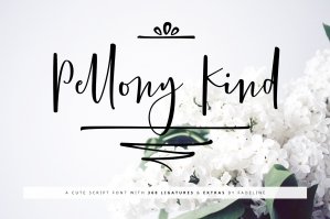 Pellony Kind Cute Script + Extras!