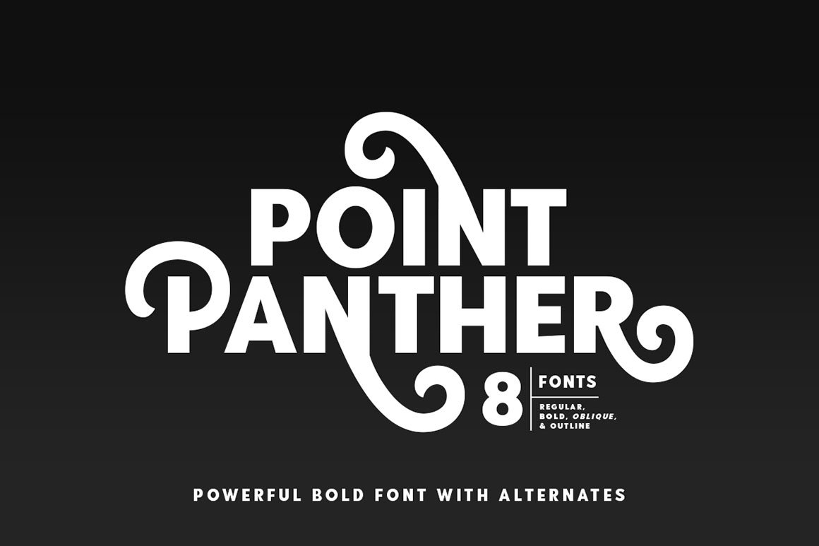 Point Panther