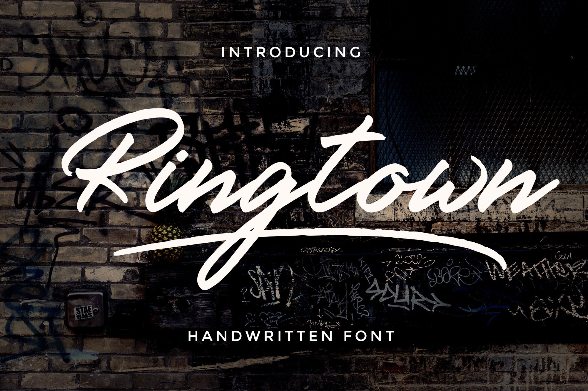 Ringtown Font Duo + Alternates
