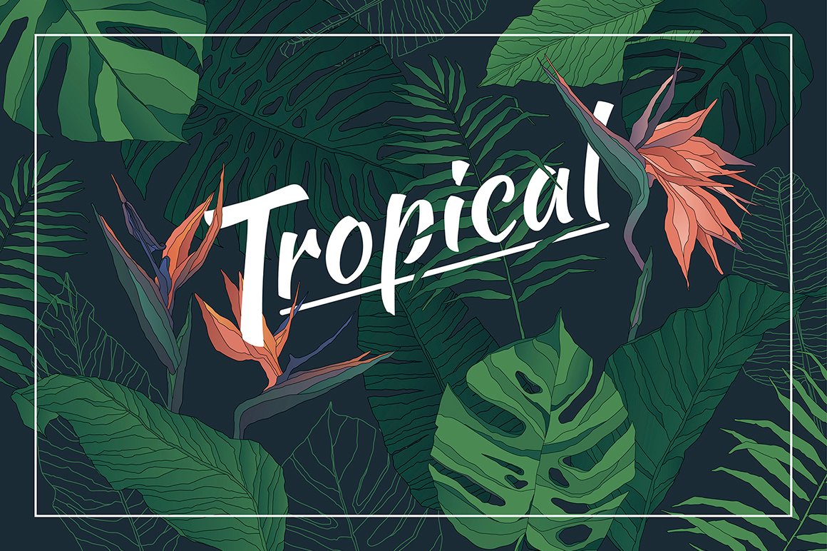 Tropical: Elements & Patterns