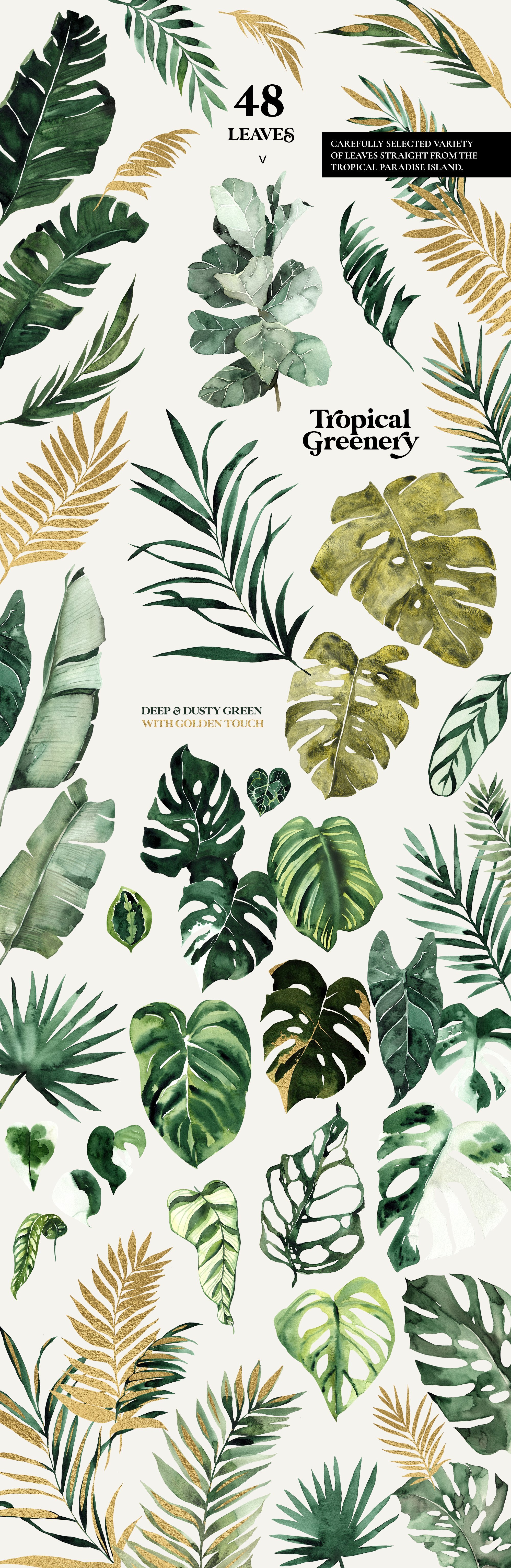 Tropical Greenery - Green and Gold Leaves Set