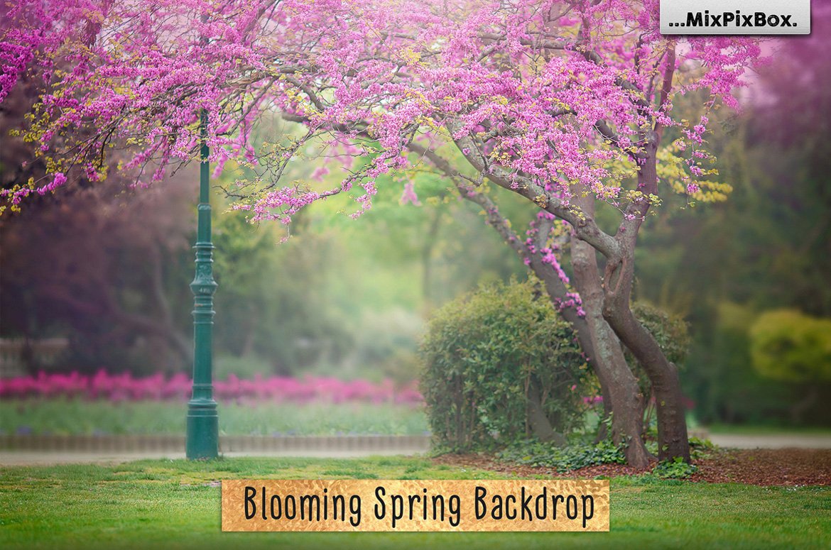 Blooming Spring Backdrop