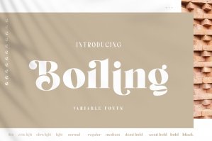 Boiling Variable Fonts