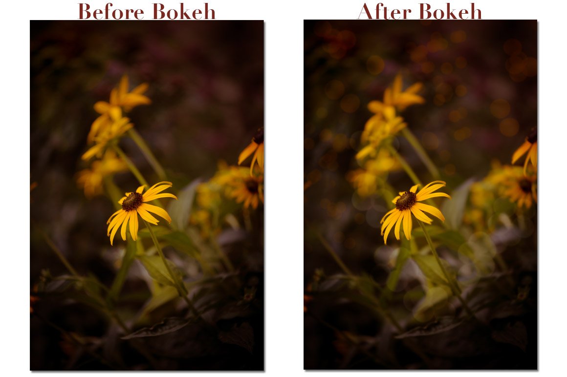 Bokeh Brushes in .ABR and .PNG Formats