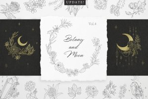 Botany & Moon - Hand Drawn Flowers, Plants, Frames