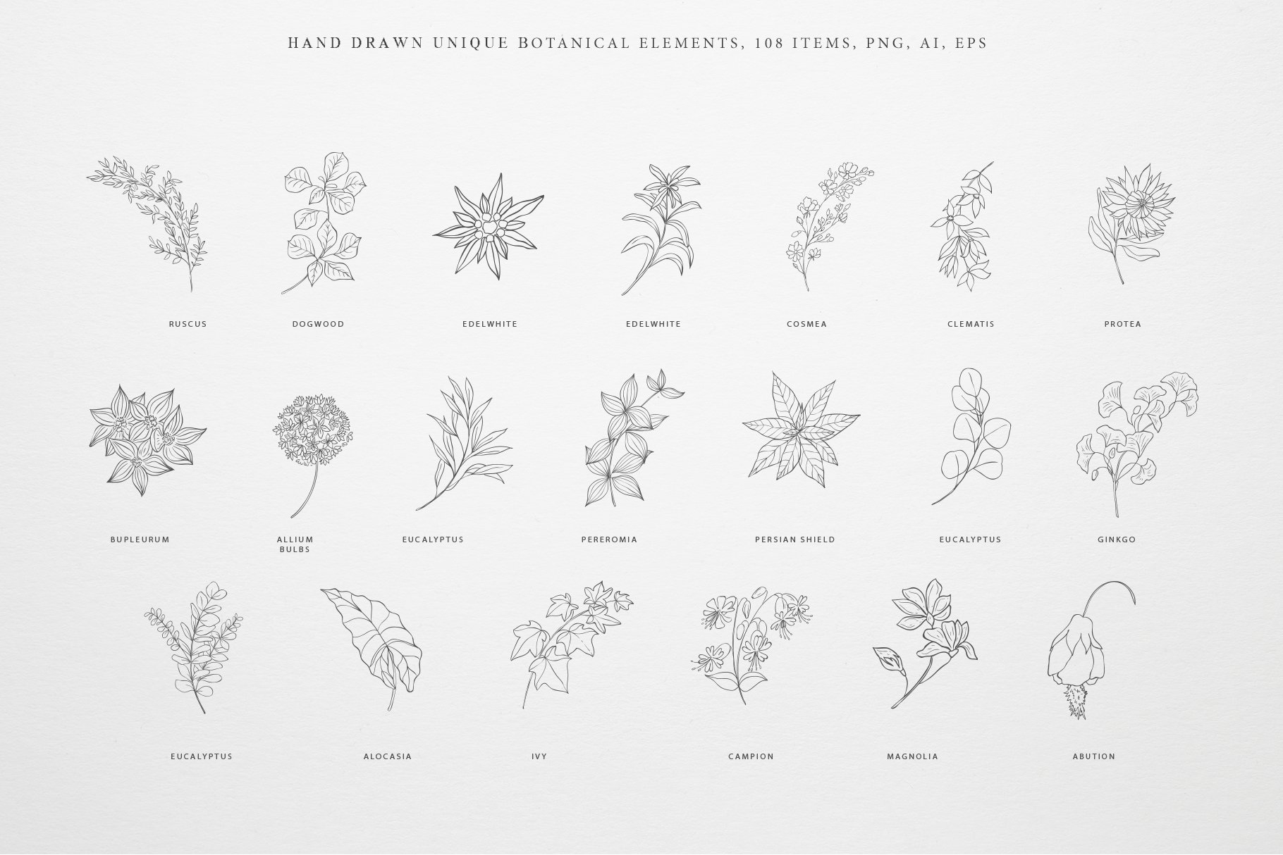 Botany & Moon - Hand Drawn Flowers, Plants, Frames