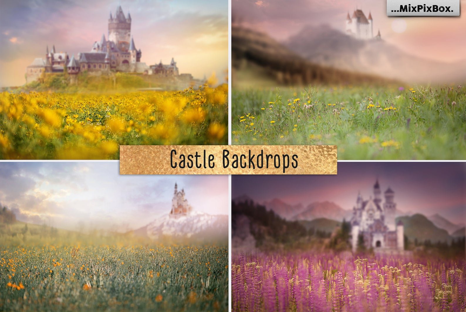 Castle Backdrops