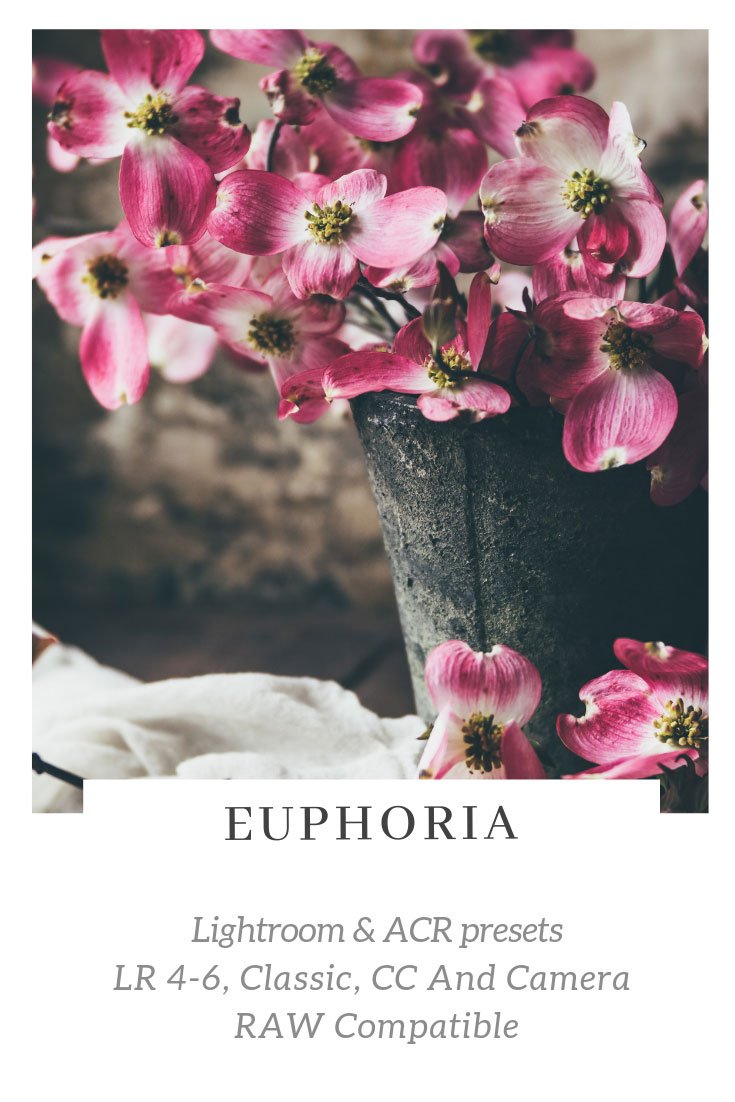 Euphoria Lightroom/ACR Presets