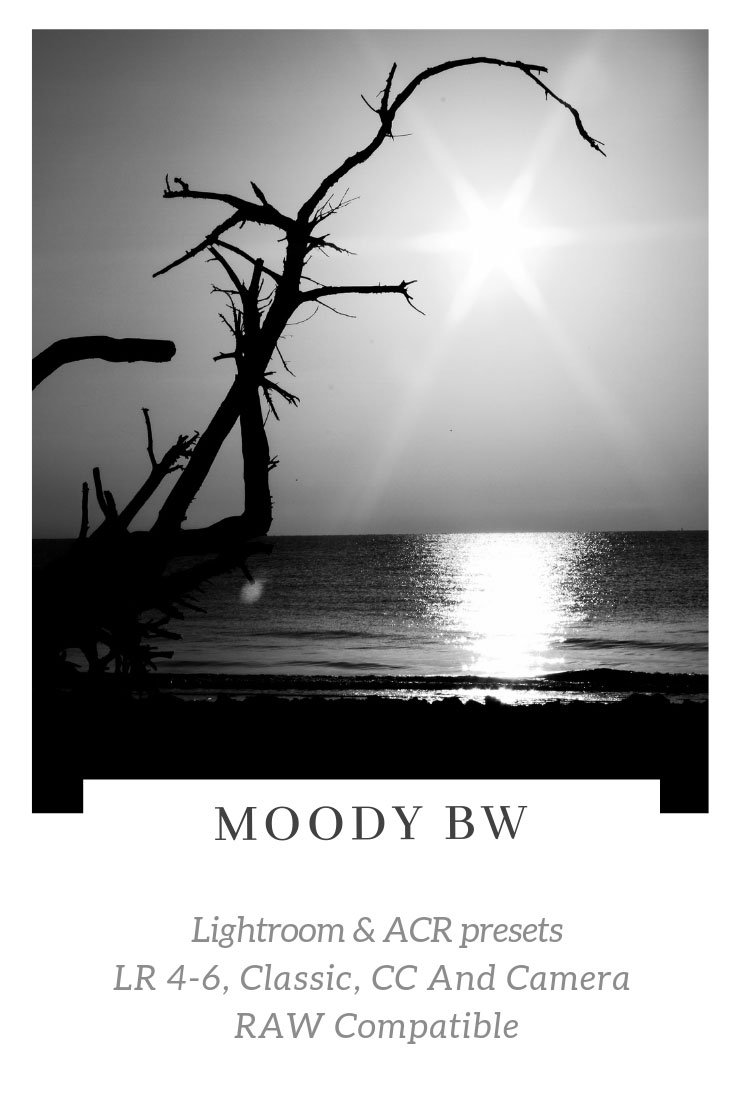 Moody BW Lightroom ACR Presets